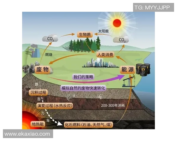 北京极限运动队配合表现的数据分析与团队协作研究